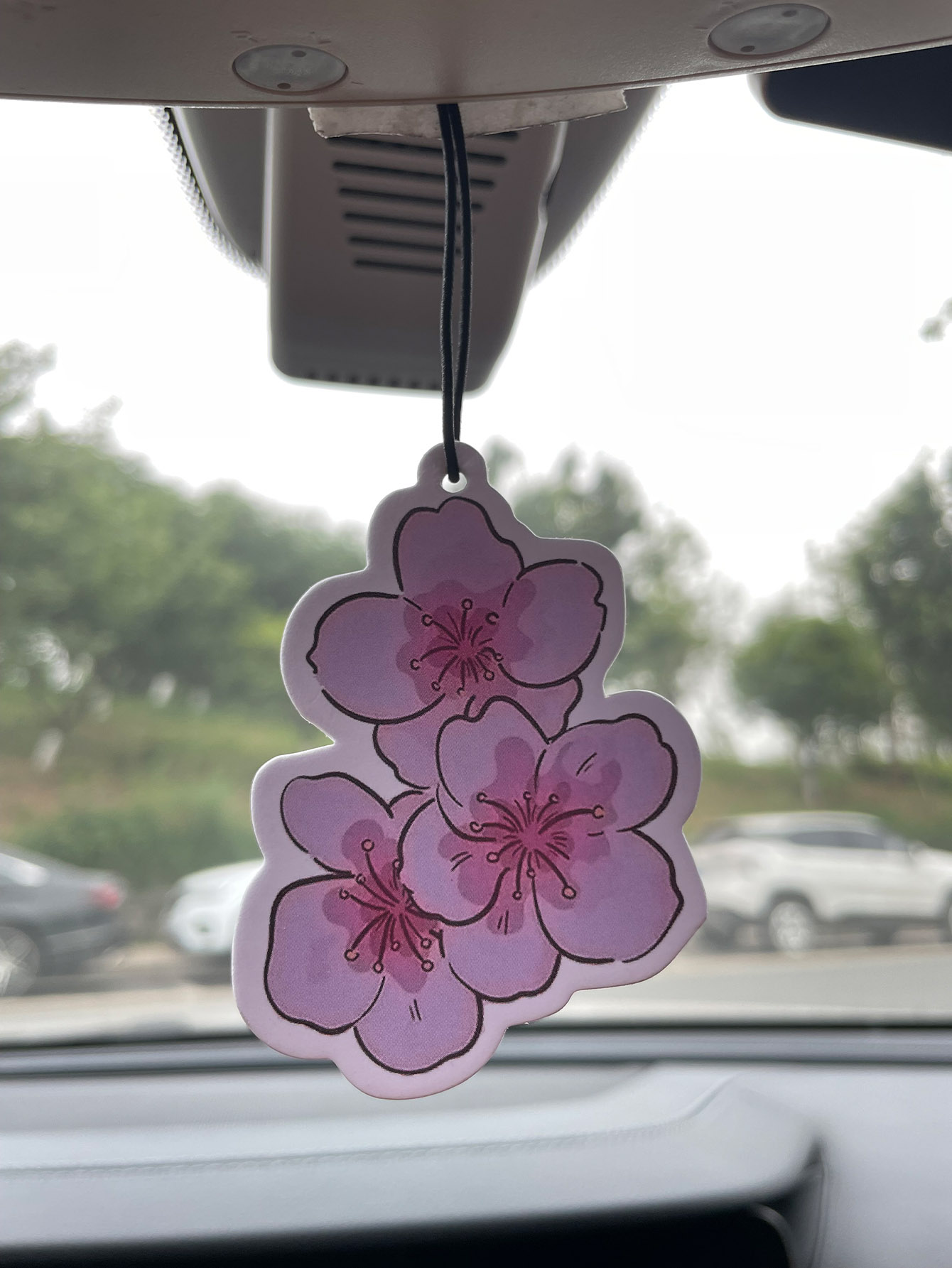Home Fragrance Janzen - Perfume para Auto de Cinco Estrellas