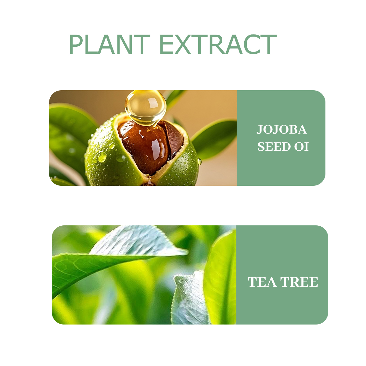 NIVAVIN Aceite de Árbol de Té  - Home Fragrance Co reseña y precio