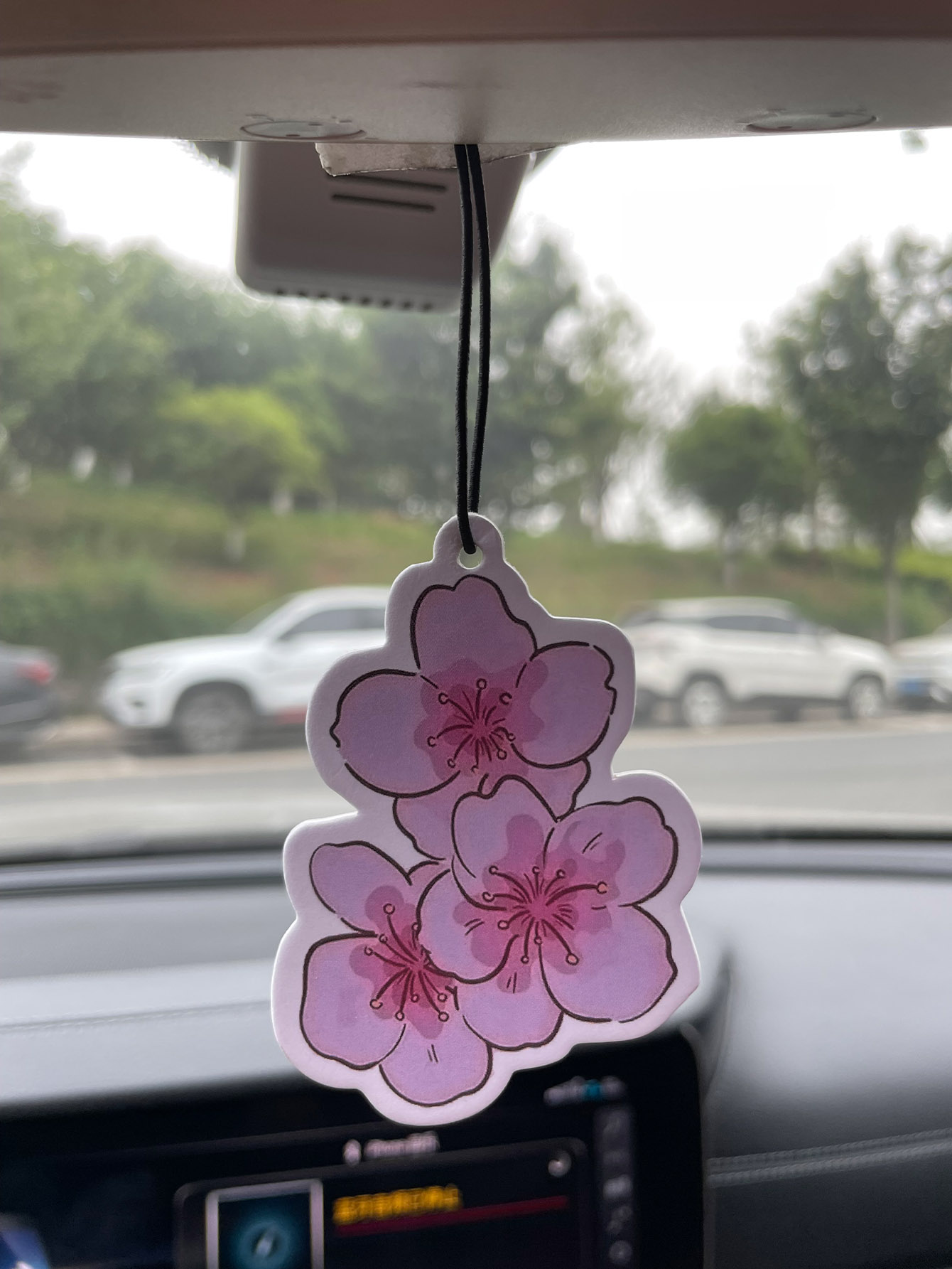 Perfume para Auto de Cinco Est - Home Fragrance Janzen reseña y precio